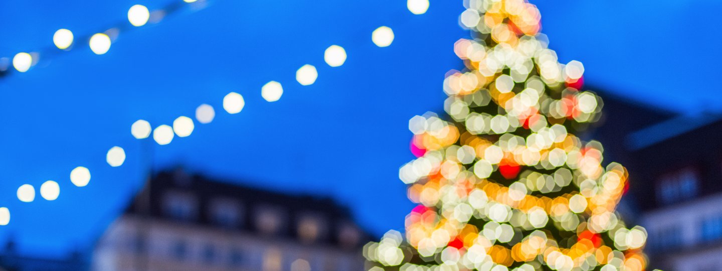 Holiday Lights Contest